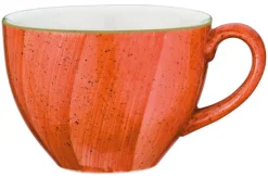 Bonna Aura Terracotta Rita Obertasse 23cl orange - 6 Stück