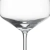 Burgunderglas Taste, Schott Zwiesel - 790ml