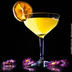 Cocktailschale, Basic Bar Motion Schott Zwiesel - 202ml (6Stk.)