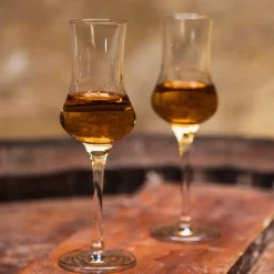 Grappaglas Bar & Liqueur, Stölzle Lausitz - 87ml