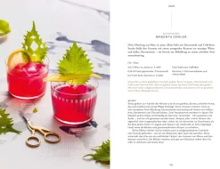 Japanische Cocktails - Traditionen, Techniken, Rezepte