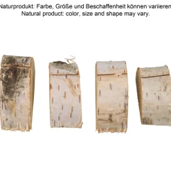 Kartenhalter Birke, Baumscheibe Birke - ca. 6,5cm