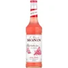Kaugummi - Monin Sirup (0,7l)