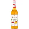 Spicy Mango - Monin Sirup (0,7l)