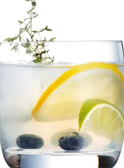 Tumbler Vigne, C&S - 310ml