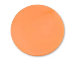 Wertchip - 2,5 x 38mm (1000Stk.) neon orange
