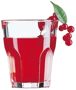 Whiskeygläser, Granity Arcoroc - 275ml